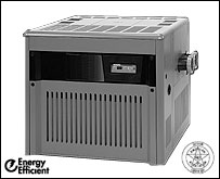 Hayward H300PED Pool Heater